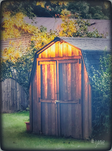 Cool Shed (0025)