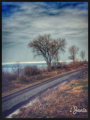 A Winter View at Lakeshore Road (0011)